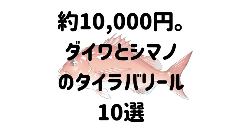 約1万円 タイラバに使えるダイワとシマノの安いリール10選 コスパに優れる2機種はコレ マイボ