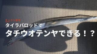 タイラバタックルを流用してテンヤタチウオ釣り！オススメのロッドと