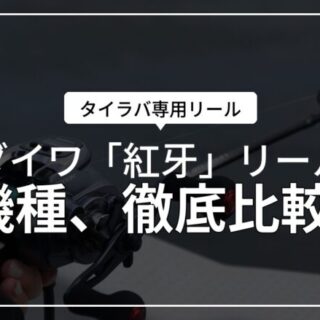 ダイワのタイラバリール「紅牙」全6シリーズ！比較してみた。2026年版