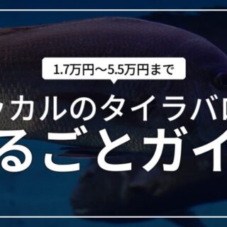 ジャッカルのタイラバロッド全6種まとめ！コスパランキングも。2026