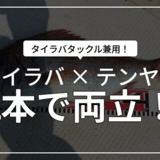 タイラバタックルでひとつテンヤ兼用！オススメのロッドとリールも