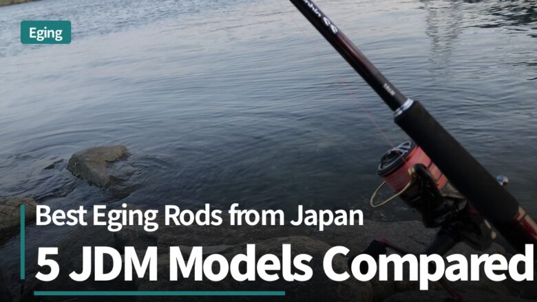 JDM eging rods for Australian squid jigging: Shimano Sephia and Daiwa Emeraldas on coastal rocks