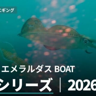 フィッシング ダイワ エギングロッド カーボン製 ブラック 専用ケース付き