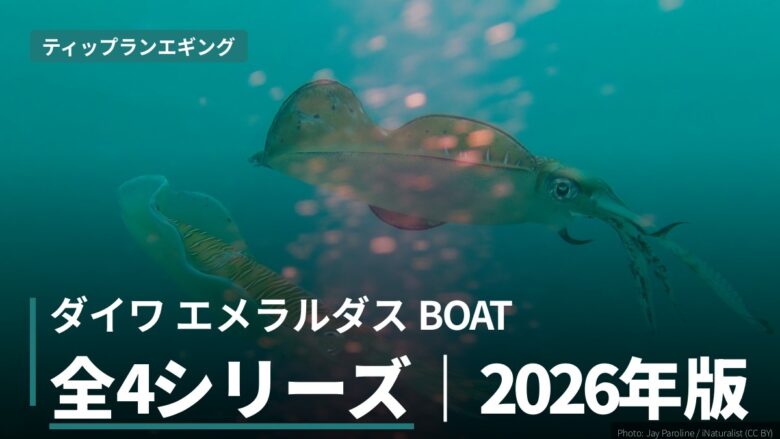 ダイワのティップランエギングロッド「エメラルダスボート」シリーズ４種まとめ！2026年版