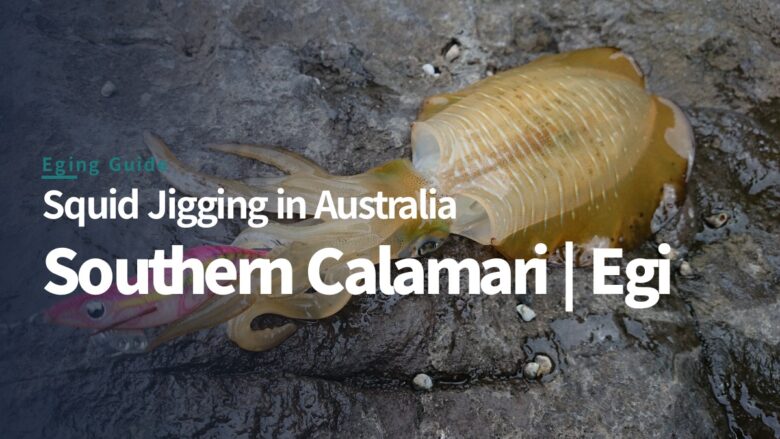 Eging in Australia: A JDM Angler's Guide to Squid Jigging