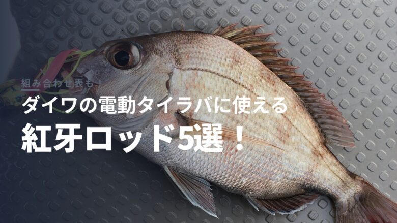 ダイワの電動タイラバに使えるロッド5選！2026年版
