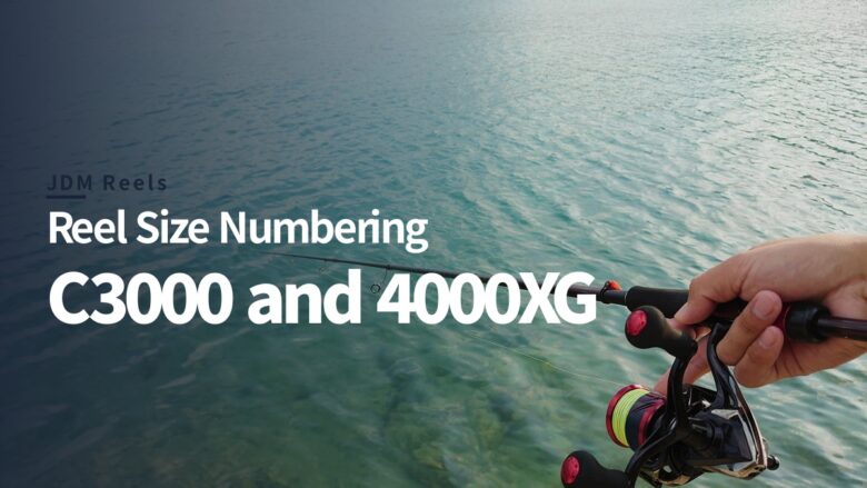 JDM Reel Size Numbering Explained: C3000, 4000XG & More
