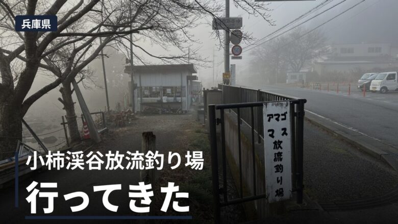 小柿渓谷放流釣り場で釣りしてきた！釣れるコツとおすすめタックル