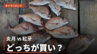 タイラバロッド「エンゲツ」VS「紅牙」どっちを選ぶ？価格帯別おすすめ
