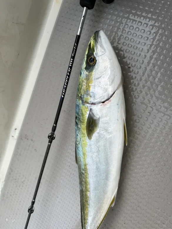 Light jigging rod fished from the sea, representative of the versatile Shimano CrossMission XR class