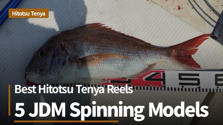 Best hitotsu tenya reels: JDM spinning models