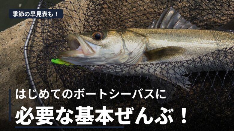 ボートシーバス入門｜タックル・ルアー・釣り方の基本を初心者向けに全まとめ！