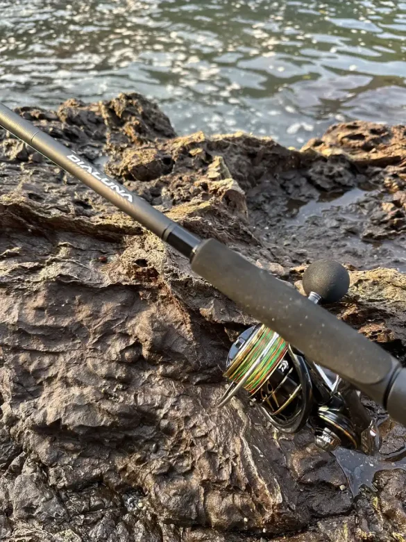 磯場に置いたディアルーナとスピニングリールのタックル