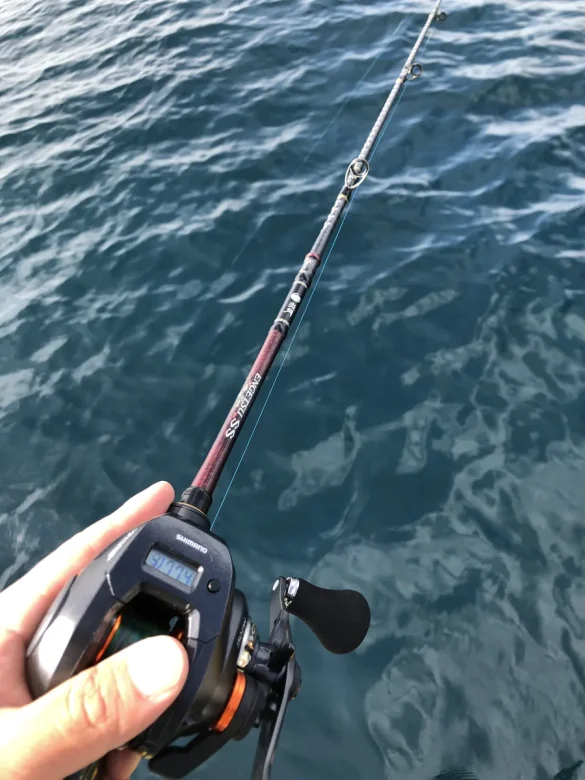 タイラバタックルを手に持ち海を望む
