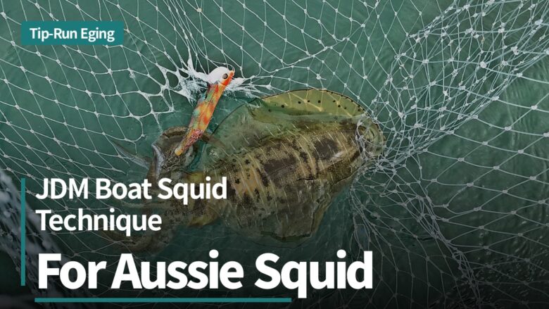 Tip-run eging in Australia: JDM boat squid technique