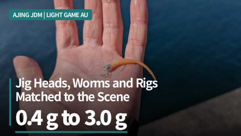 Best ajing jig heads, worms and rigs from Japan for Australian light game