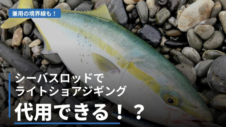 シーバスロッドでライトショアジギングを代用できるかを解説する記事のアイキャッチ