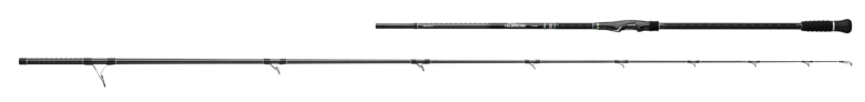 Daiwa Blackline Surf spinning rod