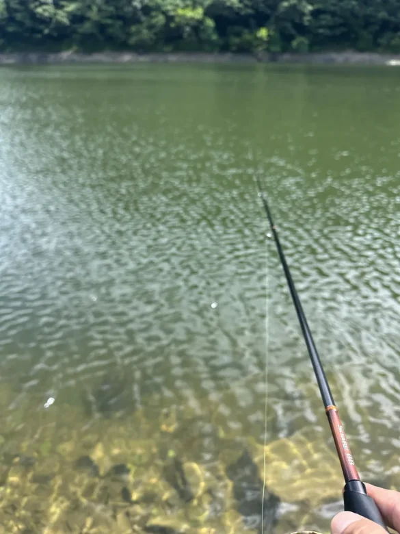 管理釣り場の水面とロッドティップ