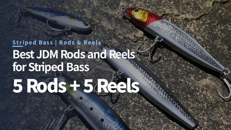 Best JDM Rods and Reels for Striped Bass: Will a Japanese Suzuki Rod Take a 2 oz Plug?