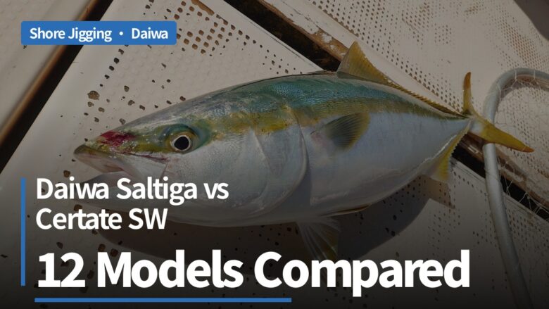 Daiwa Saltiga vs Certate SW for Australian shore jigging