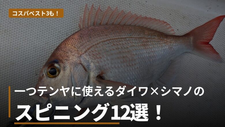 一つテンヤのリールをダイワとシマノで比較する記事のアイキャッチ