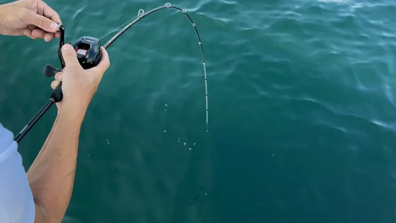 A jigging rod bent towards the water