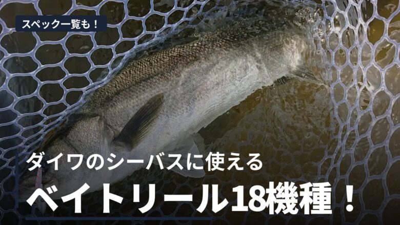26モアザン TW PEと18モアザン PE TWの違いを比較する記事のアイキャッチ