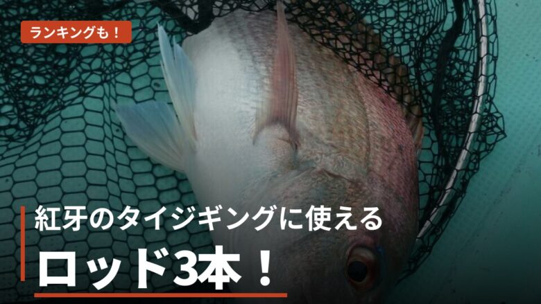 紅牙のタイジギングに使えるロッド3本のアイキャッチ
