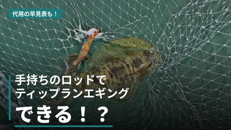 ティップランロッドの代用は何が使える？エギング・イカメタル・バスなど6タイプを数字で判定した早見表