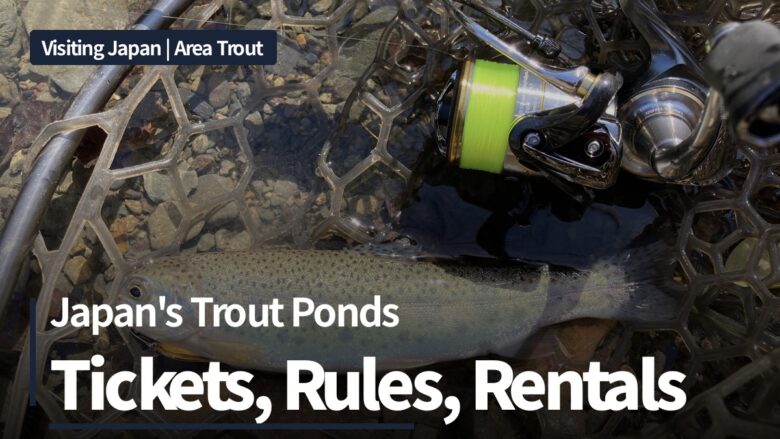 A rainbow trout in a rubber landing net beside a spinning reel at a Japanese trout pond