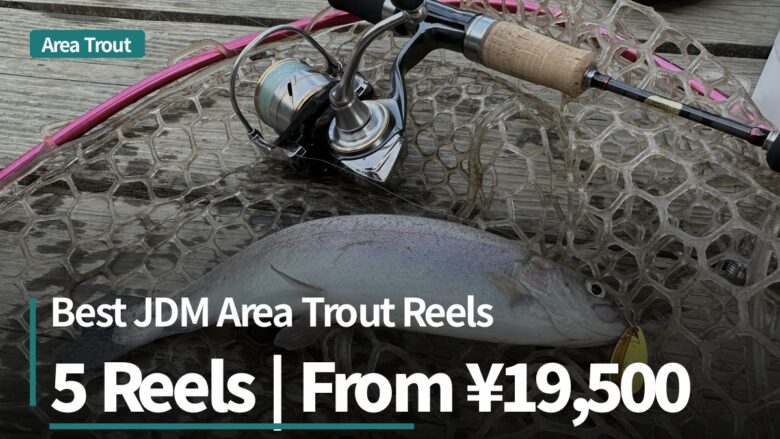 Best JDM area trout reels: five models compared