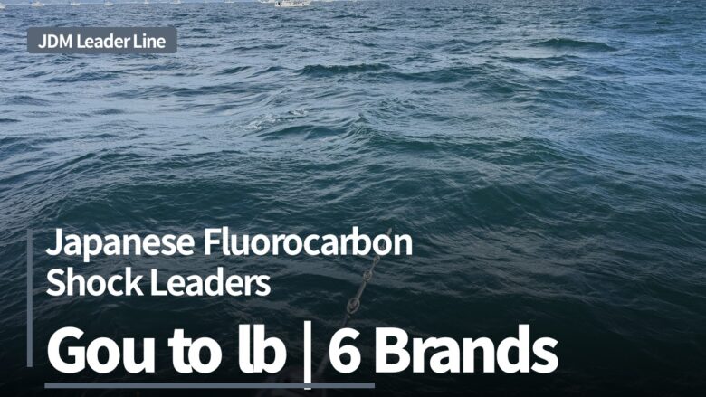 Japanese fluorocarbon shock leaders: gou to lb across 6 brands