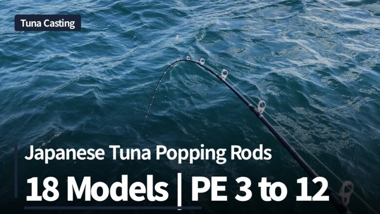 Japanese tuna popping rods, 18 models compared