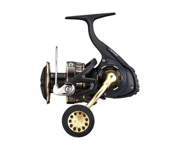 Daiwa 23 BG SW spinning reel