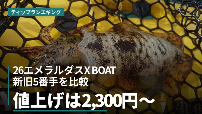 26エメラルダスX BOATと旧型の違いを全5番手で比較！値上がりした新型か、セフィアBBか