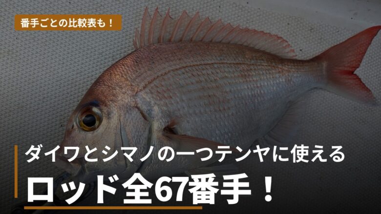 紅牙テンヤゲームと炎月一つテンヤマダイの比較