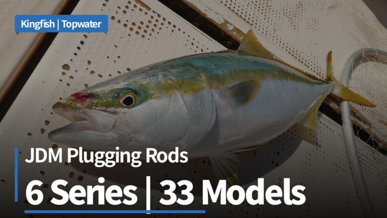 JDM plugging rods for Australian kingfish: Daiwa casting series compared