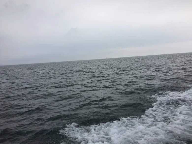 曇り空の海と船の引き波