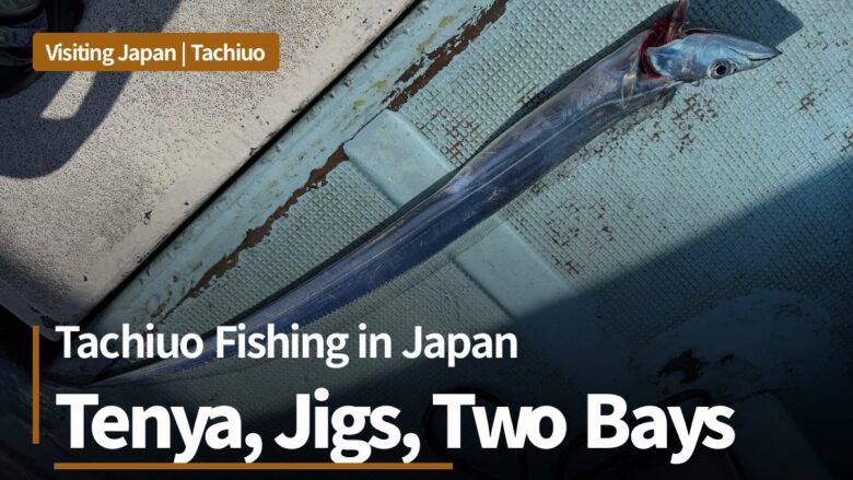 A tachiuo (largehead hairtail) lying on the deck of a fishing boat in Japan